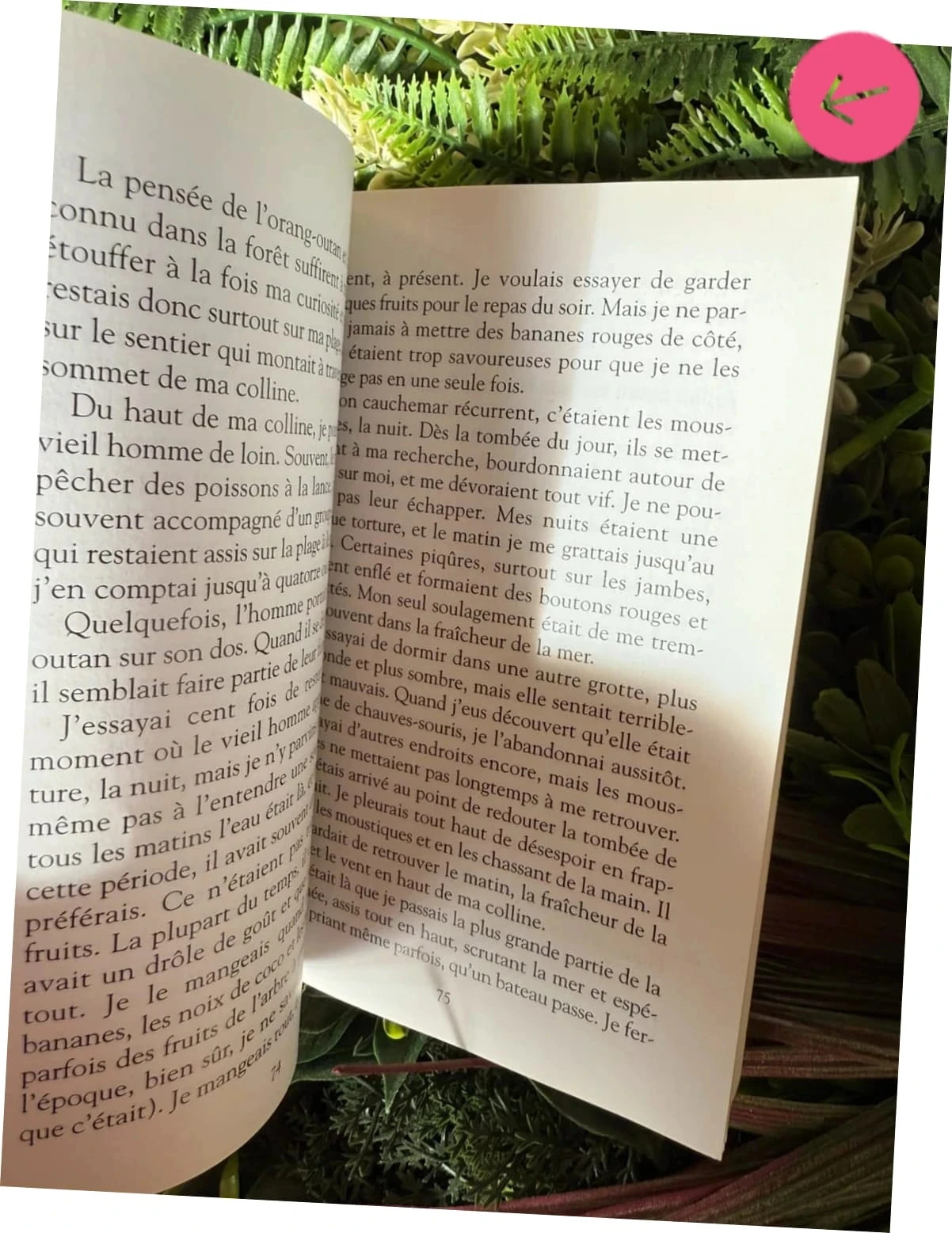 Livre le royaume de kenzuke bien servie – photo 4